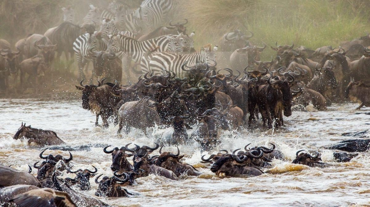18 Days Best Kenya Safari